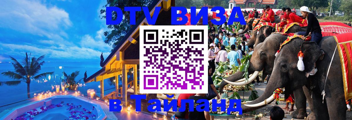 Оформление DTV визы под ключ: стоимость и тарифы, только загранпаспорт - 